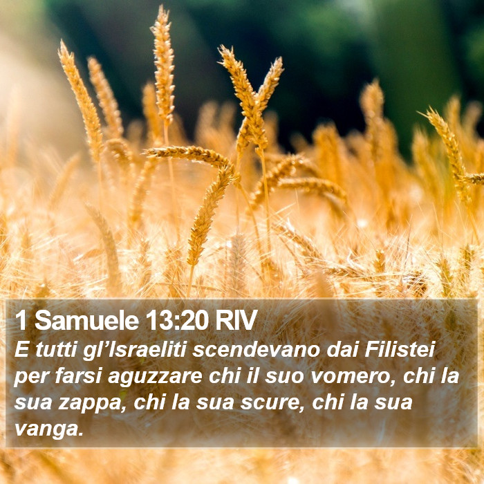 1 Samuele 13:20 RIV Bible Study