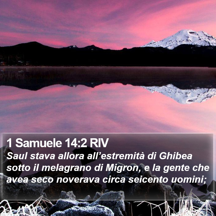 1 Samuele 14:2 RIV Bible Study