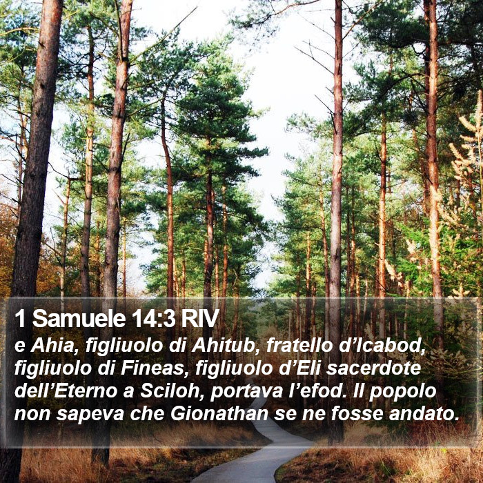 1 Samuele 14:3 RIV Bible Study