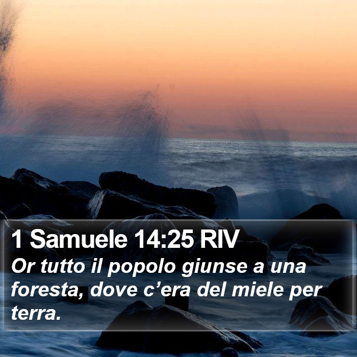 1 Samuele 14:25 RIV Bible Study