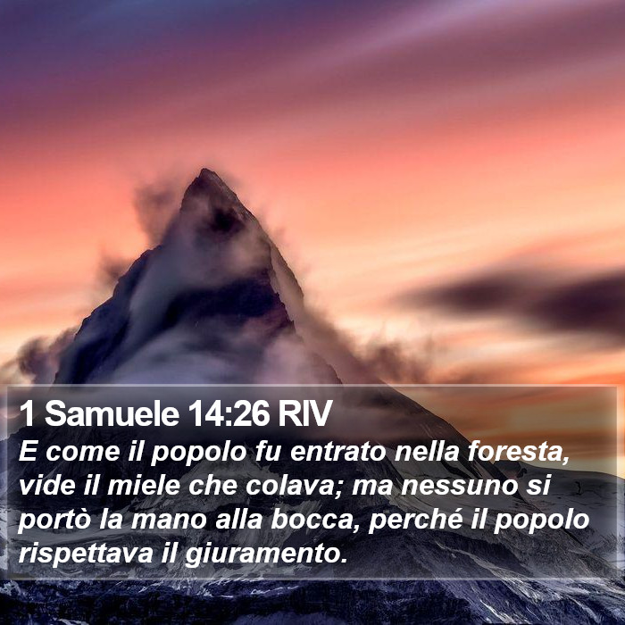 1 Samuele 14:26 RIV Bible Study