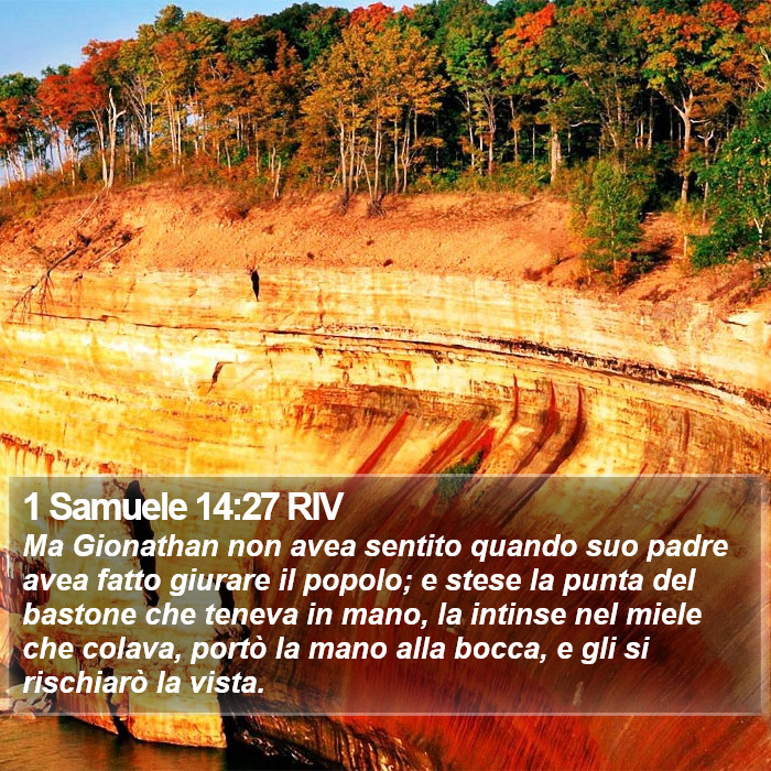 1 Samuele 14:27 RIV Bible Study