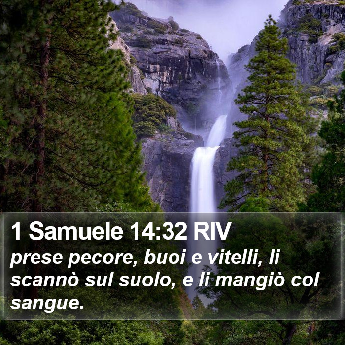 1 Samuele 14:32 RIV Bible Study