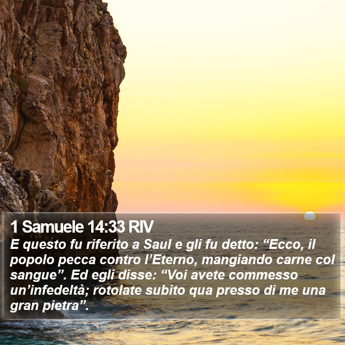 1 Samuele 14:33 RIV Bible Study