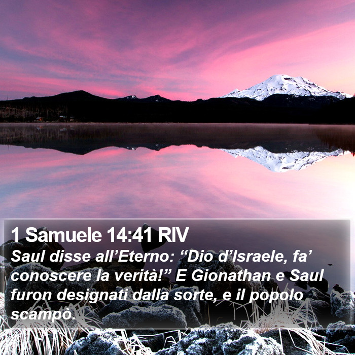 1 Samuele 14:41 RIV Bible Study