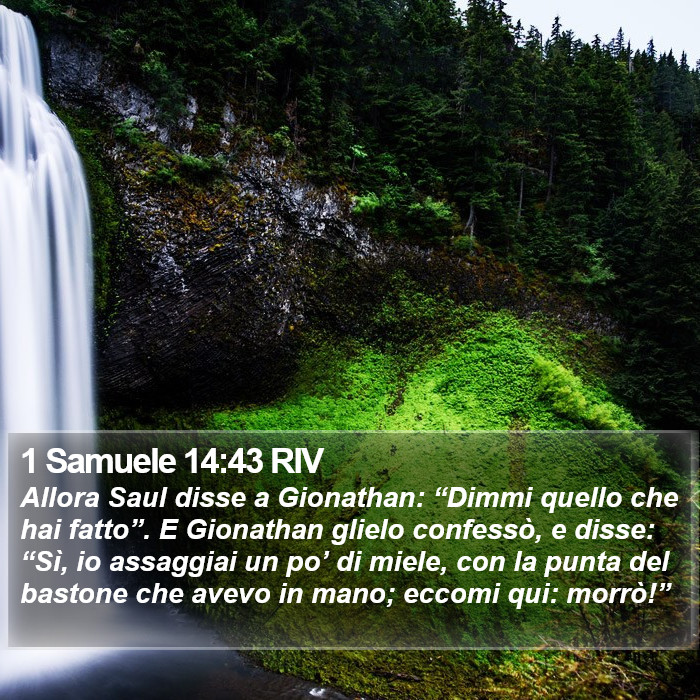 1 Samuele 14:43 RIV Bible Study