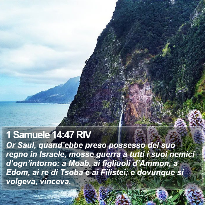 1 Samuele 14:47 RIV Bible Study