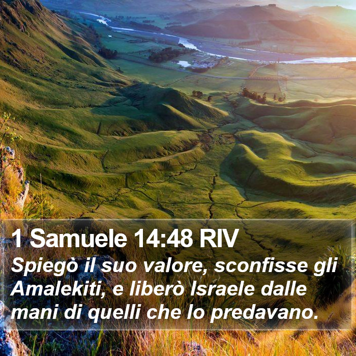 1 Samuele 14:48 RIV Bible Study