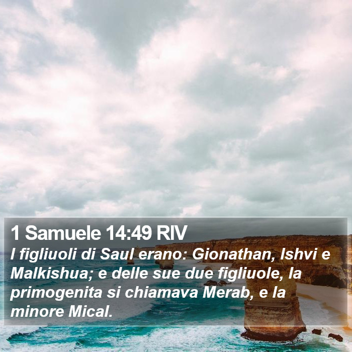 1 Samuele 14:49 RIV Bible Study