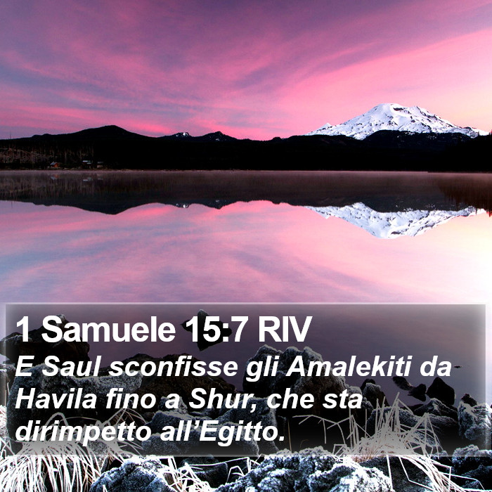 1 Samuele 15:7 RIV Bible Study