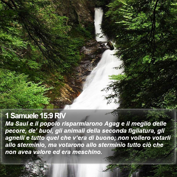 1 Samuele 15:9 RIV Bible Study