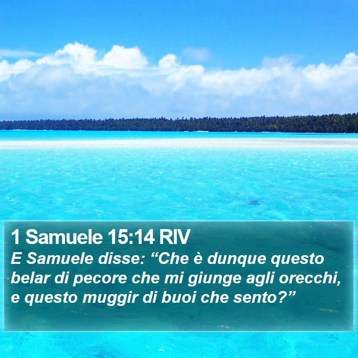 1 Samuele 15:14 RIV Bible Study