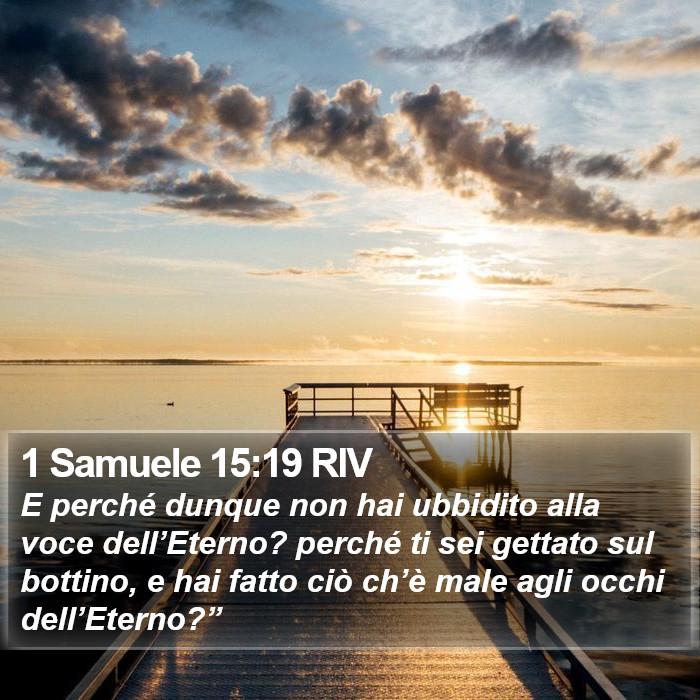 1 Samuele 15:19 RIV Bible Study