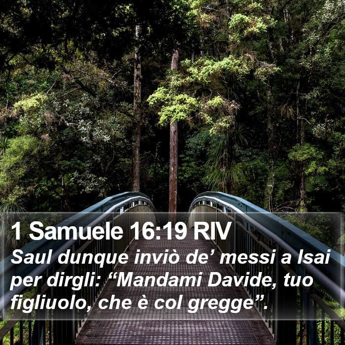 1 Samuele 16:19 RIV Bible Study