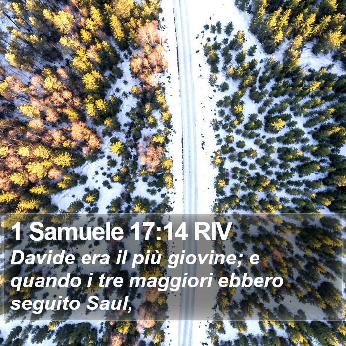 1 Samuele 17:14 RIV Bible Study