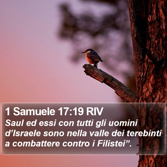 1 Samuele 17:19 RIV Bible Study