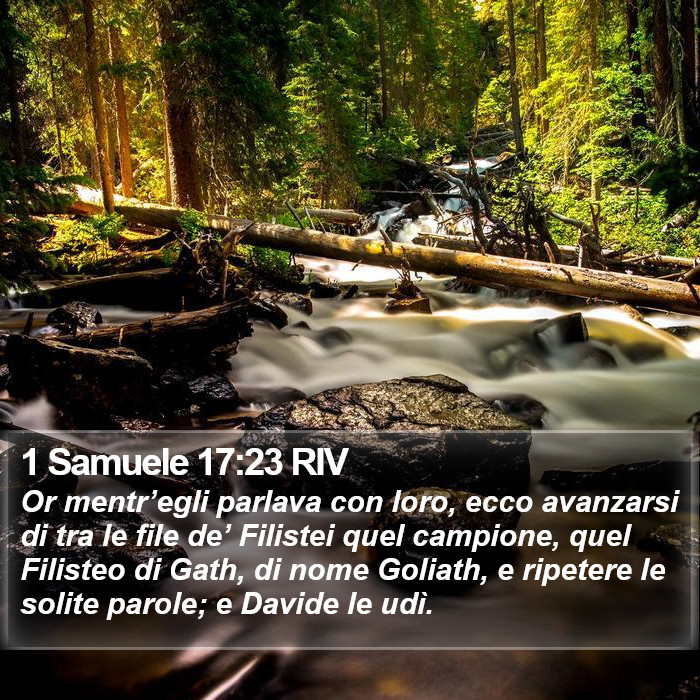 1 Samuele 17:23 RIV Bible Study