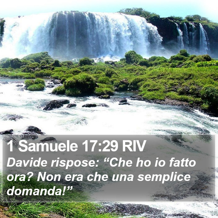 1 Samuele 17:29 RIV Bible Study