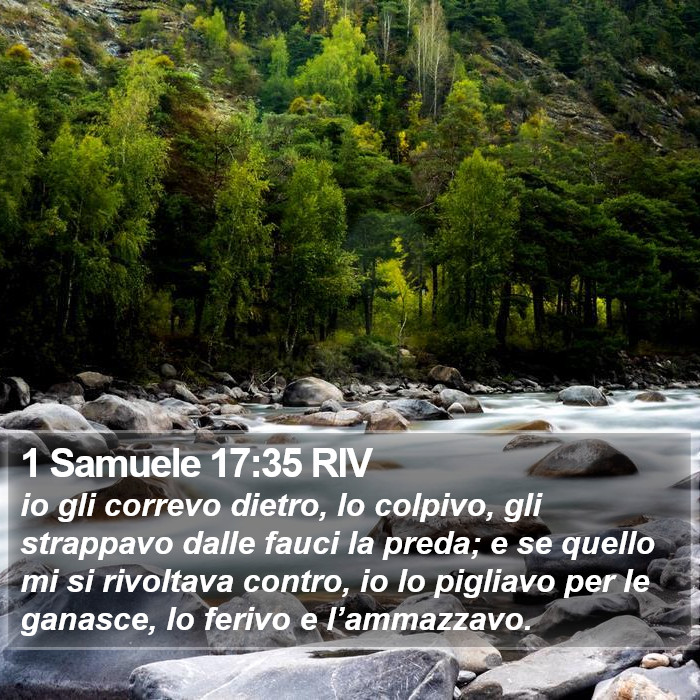 1 Samuele 17:35 RIV Bible Study