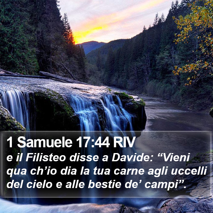 1 Samuele 17:44 RIV Bible Study