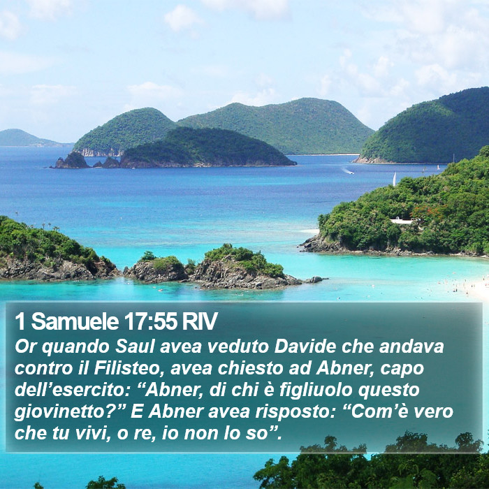 1 Samuele 17:55 RIV Bible Study