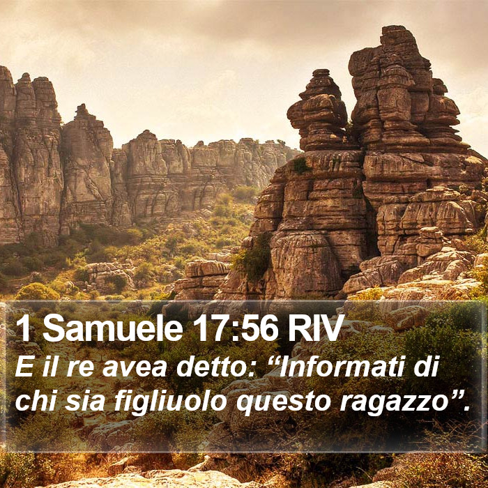 1 Samuele 17:56 RIV Bible Study