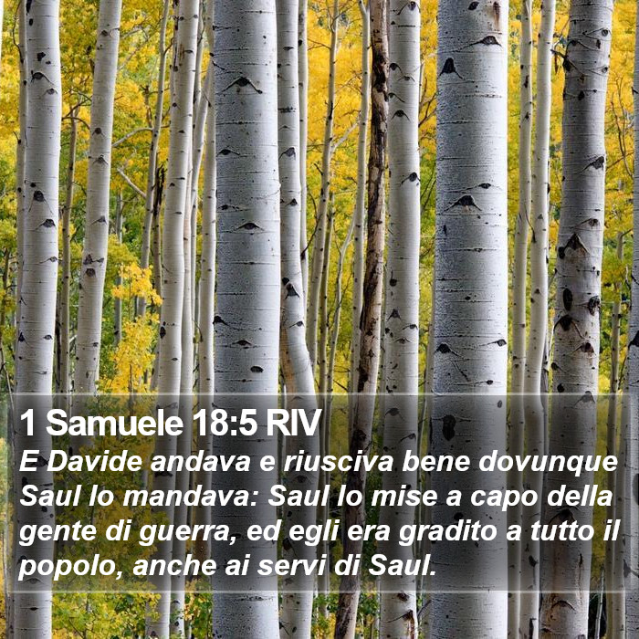 1 Samuele 18:5 RIV Bible Study