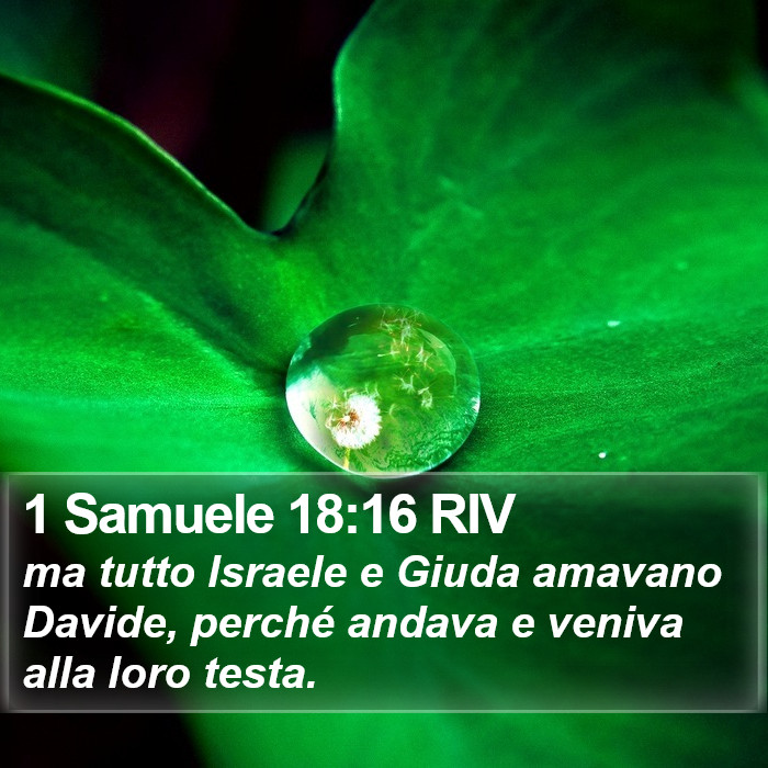 1 Samuele 18:16 RIV Bible Study