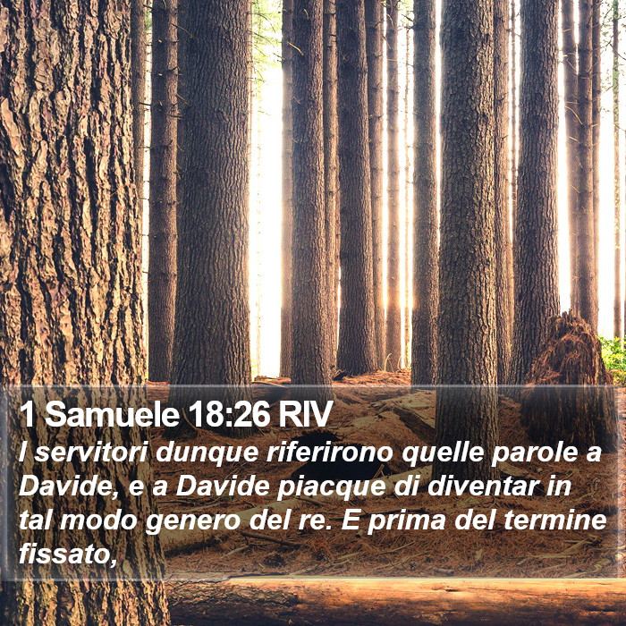 1 Samuele 18:26 RIV Bible Study