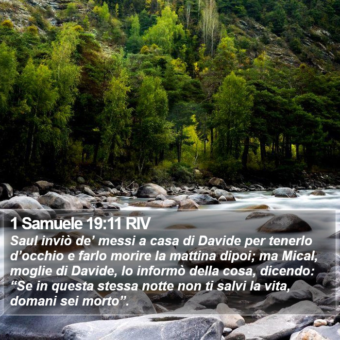 1 Samuele 19:11 RIV Bible Study