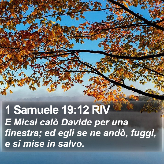 1 Samuele 19:12 RIV Bible Study