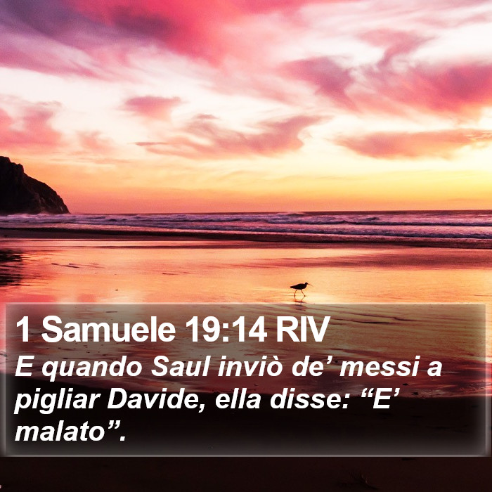 1 Samuele 19:14 RIV Bible Study