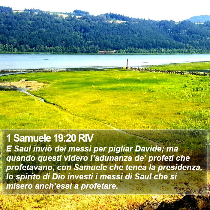 1 Samuele 19:20 RIV Bible Study