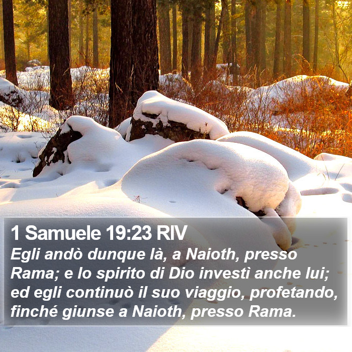 1 Samuele 19:23 RIV Bible Study