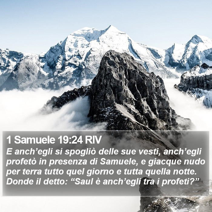 1 Samuele 19:24 RIV Bible Study