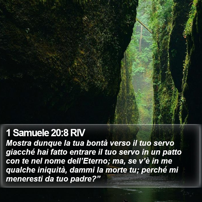 1 Samuele 20:8 RIV Bible Study