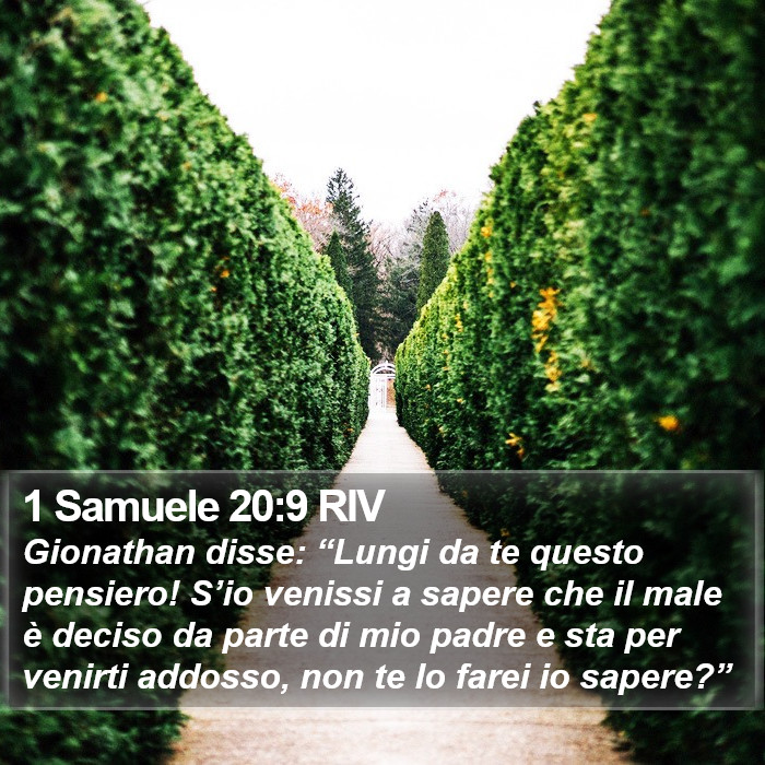 1 Samuele 20:9 RIV Bible Study