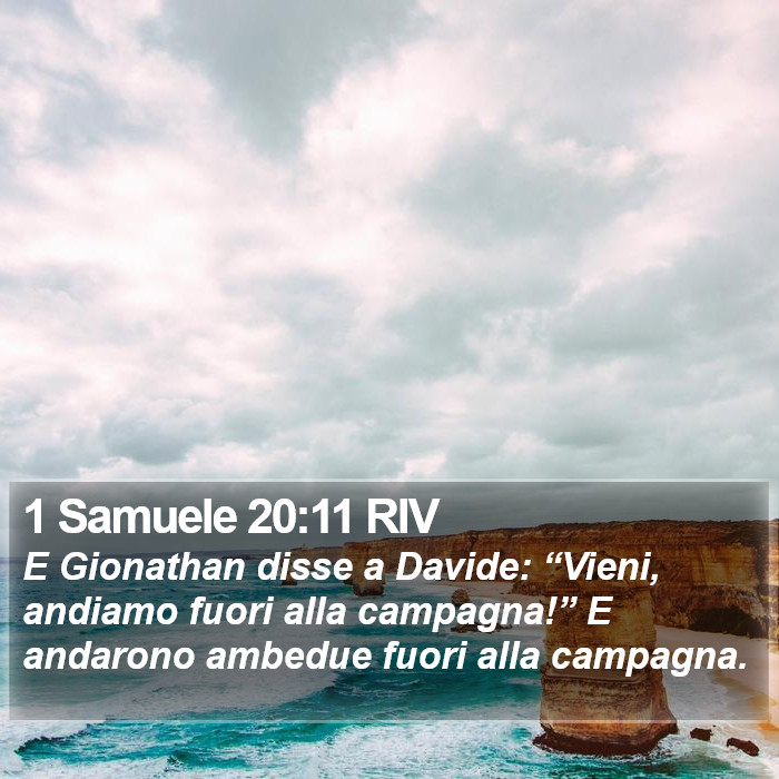 1 Samuele 20:11 RIV Bible Study