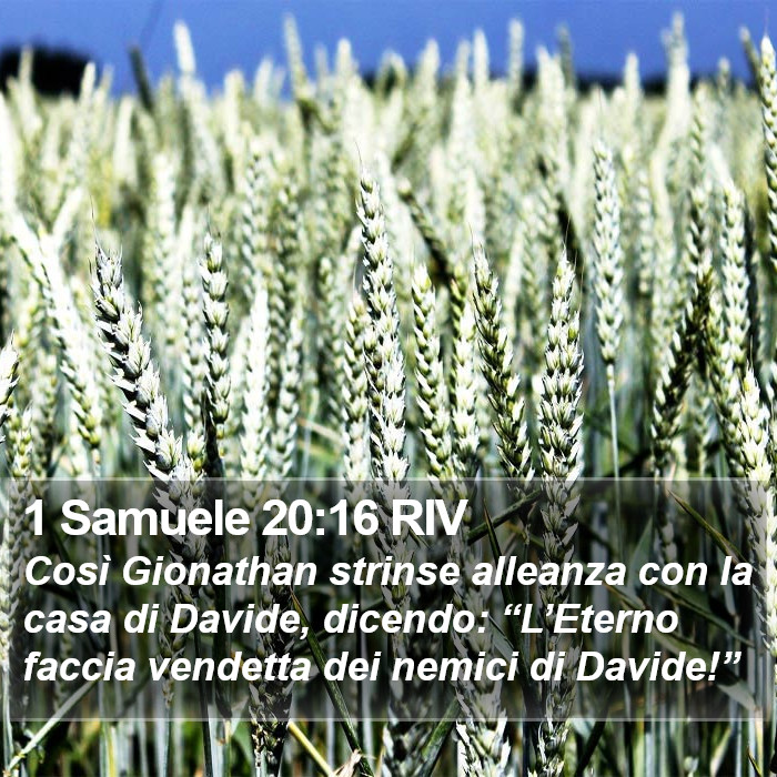 1 Samuele 20:16 RIV Bible Study