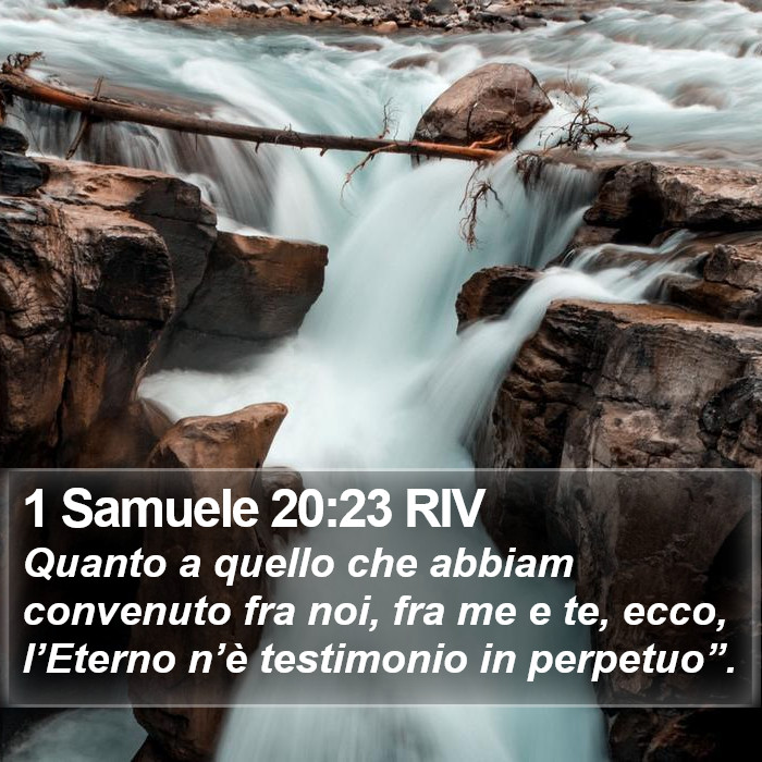 1 Samuele 20:23 RIV Bible Study