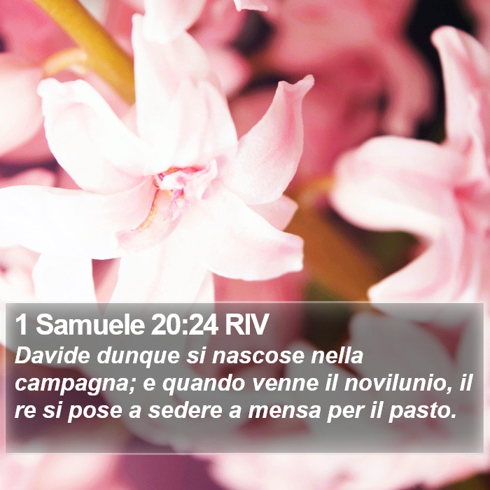 1 Samuele 20:24 RIV Bible Study