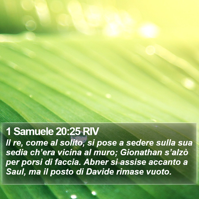 1 Samuele 20:25 RIV Bible Study