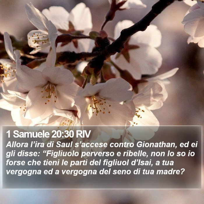 1 Samuele 20:30 RIV Bible Study