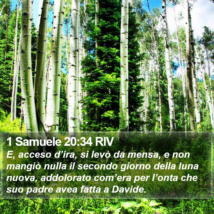 1 Samuele 20:34 RIV Bible Study