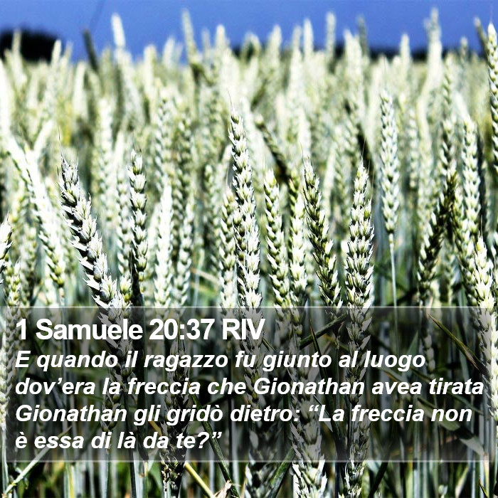 1 Samuele 20:37 RIV Bible Study