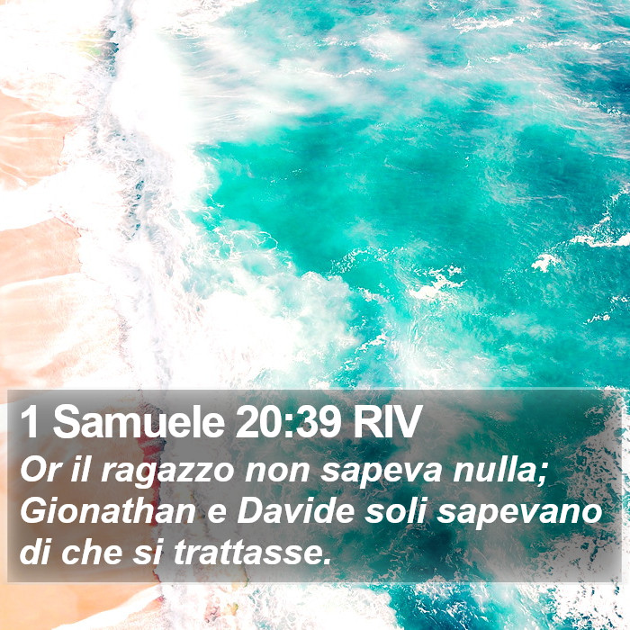 1 Samuele 20:39 RIV Bible Study