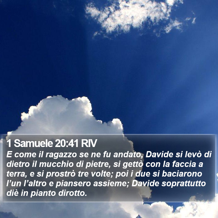 1 Samuele 20:41 RIV Bible Study