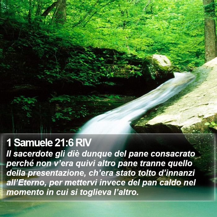 1 Samuele 21:6 RIV Bible Study