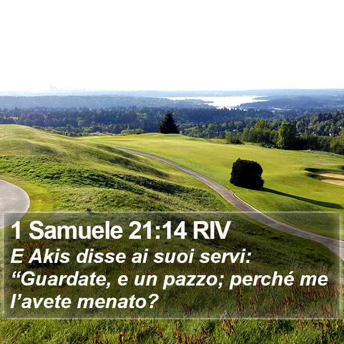 1 Samuele 21:14 RIV Bible Study