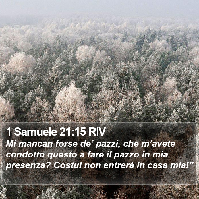 1 Samuele 21:15 RIV Bible Study